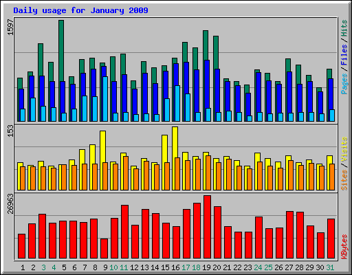 Daily usage for January 2009