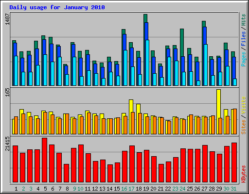 Daily usage for January 2010