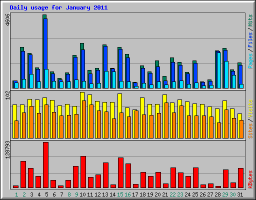 Daily usage for January 2011