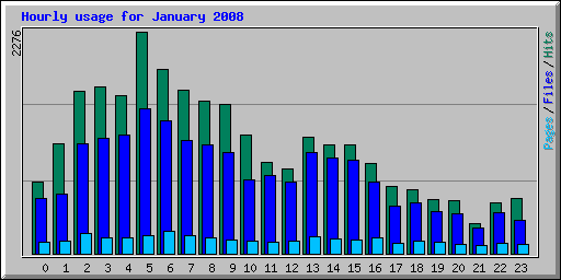 Hourly usage for January 2008