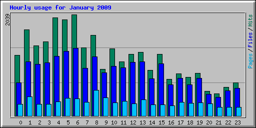 Hourly usage for January 2009