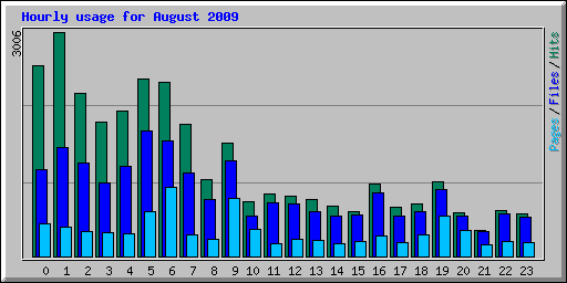 Hourly usage for August 2009