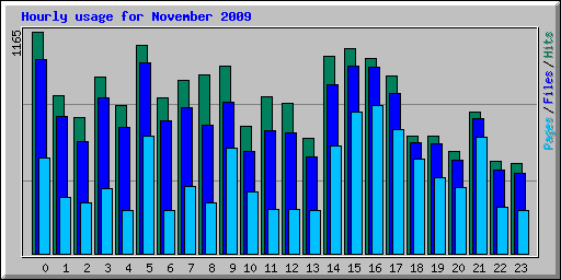 Hourly usage for November 2009