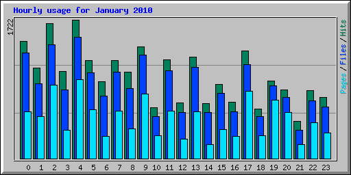 Hourly usage for January 2010