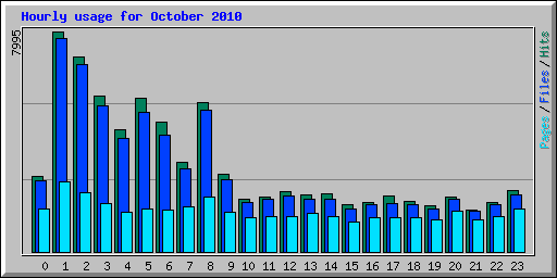 Hourly usage for October 2010