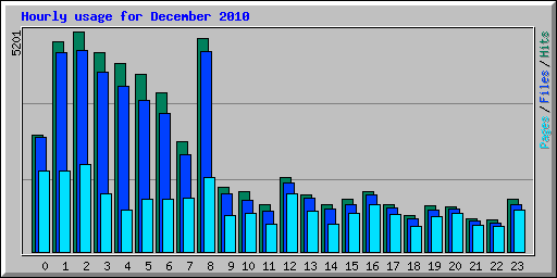 Hourly usage for December 2010