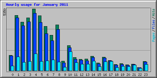 Hourly usage for January 2011